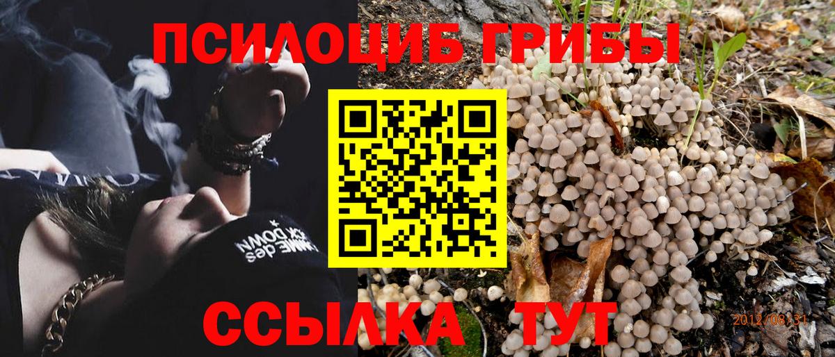 Галлюциногенные грибы ЛСД Ковров