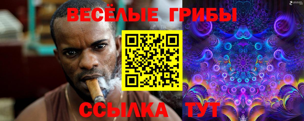 Ковров  Галлюциногенные грибы Psilocybine cubensis  купить   Вход с VPN 